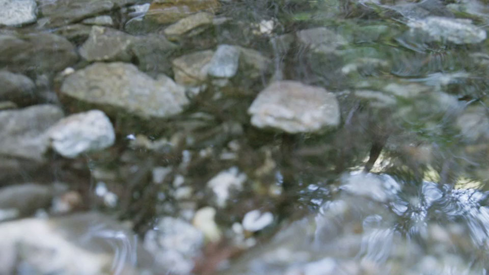 Виробництво