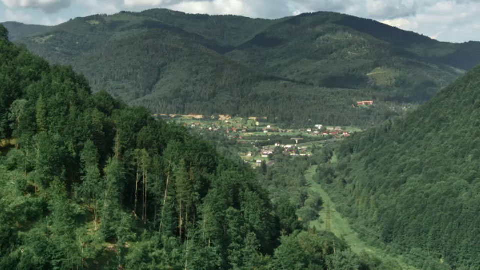 Походження