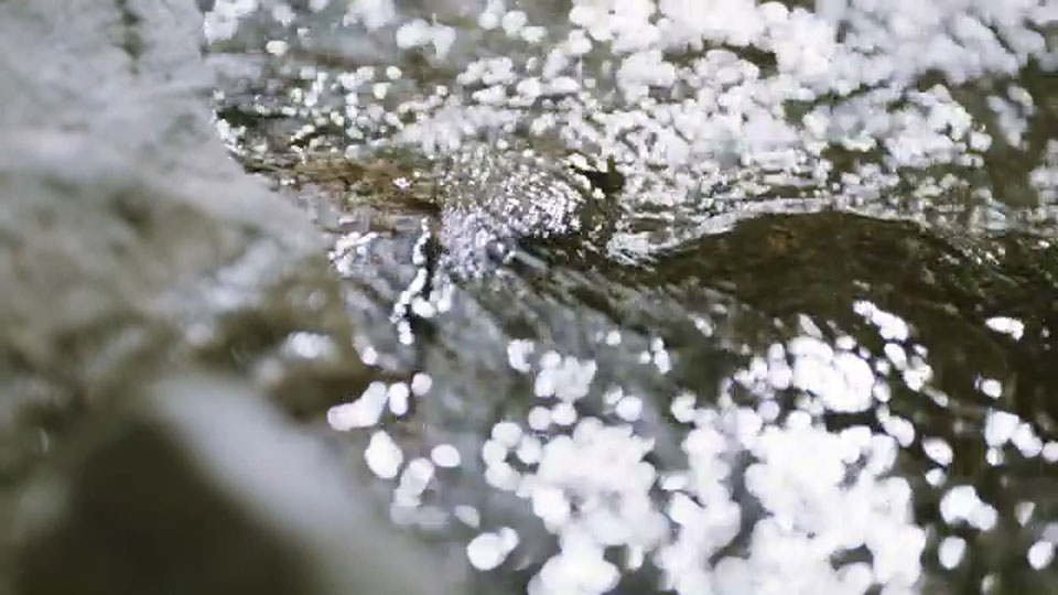 Походження