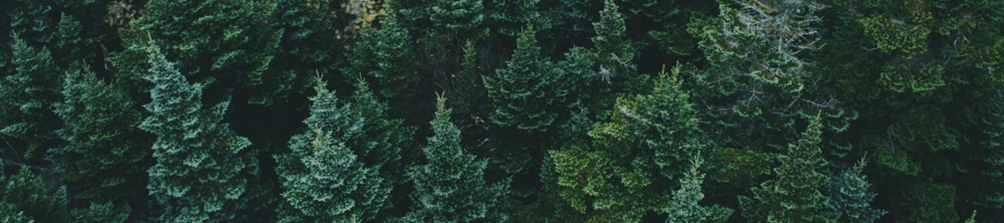 НЕГАЗОВАНА