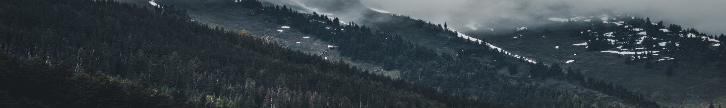 сильногазована