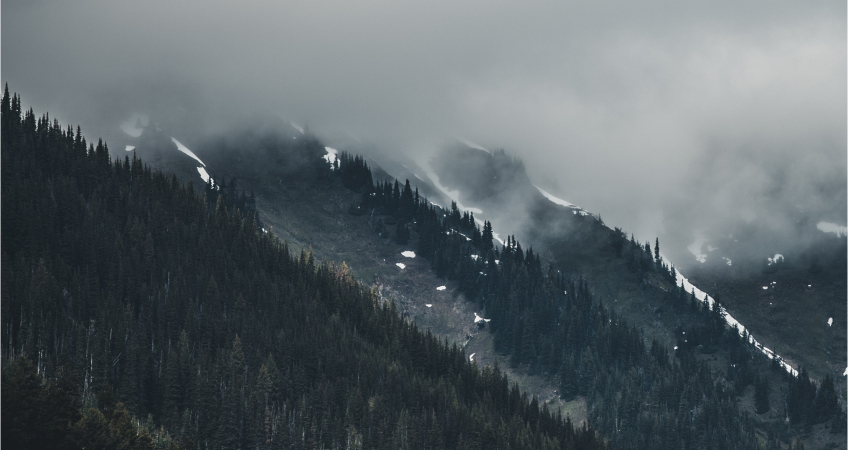 сильногазована